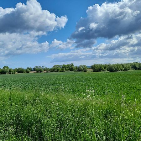 Pension Landidylle Wohlenhagen Εξωτερικό φωτογραφία