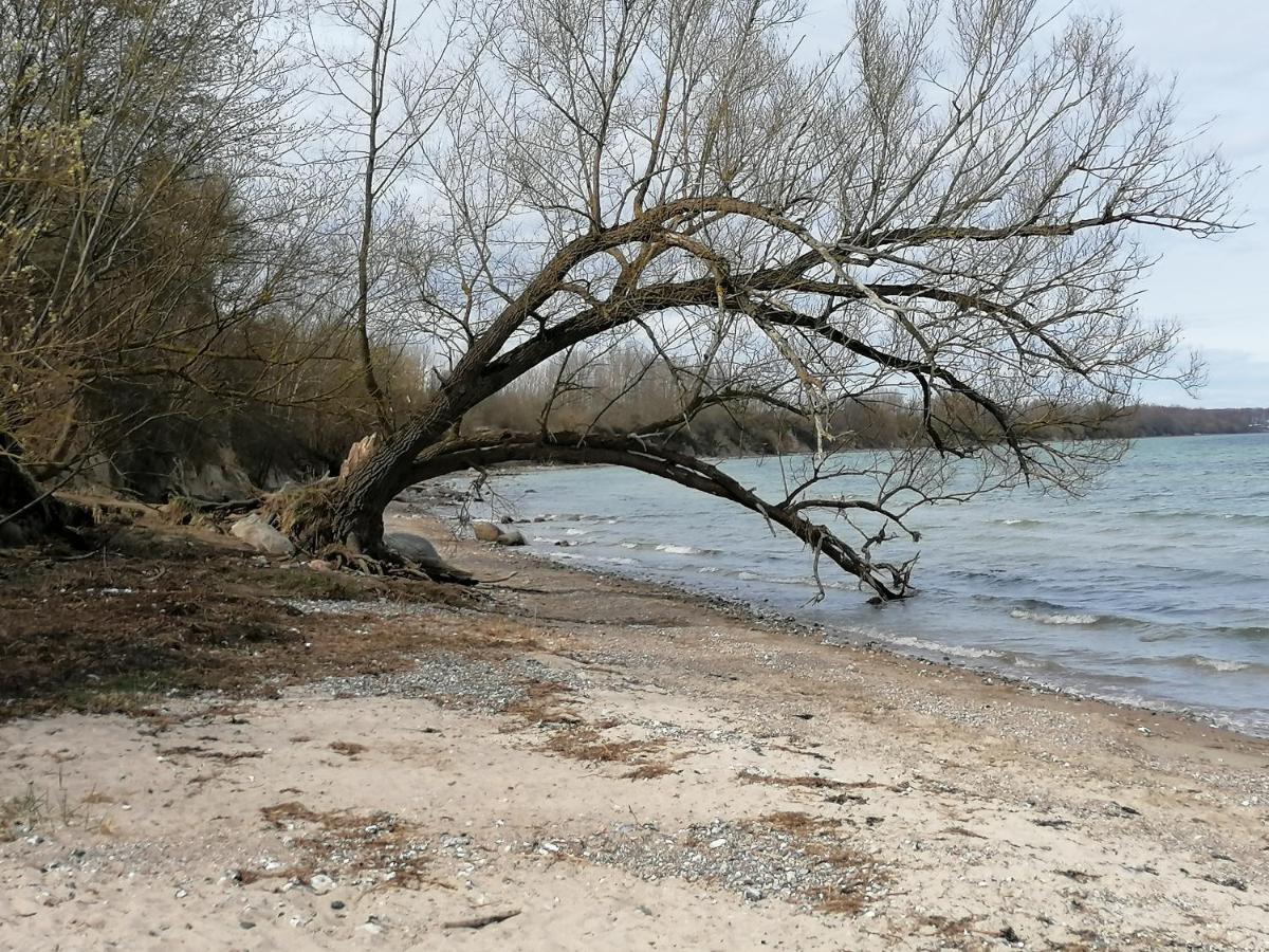Pension Landidylle Wohlenhagen Εξωτερικό φωτογραφία